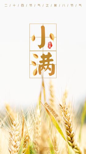 小满节气海报地产唯美清新单图