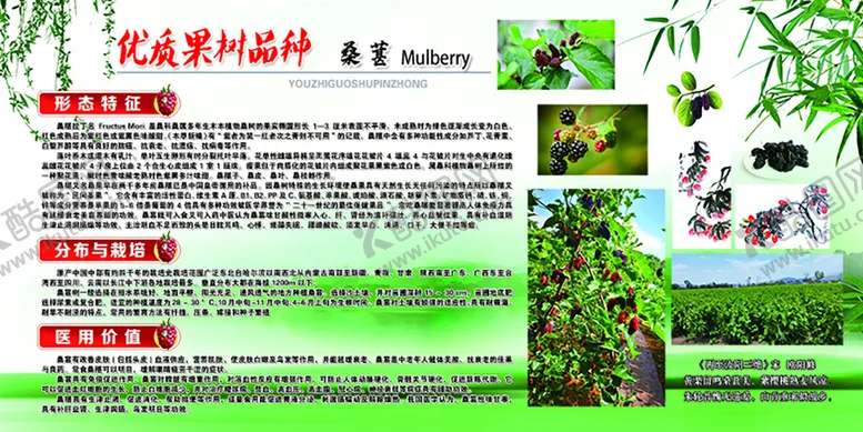 编号：28456710101428473805【酷图网】源文件下载-水果 果树 劳动 基地 学校 