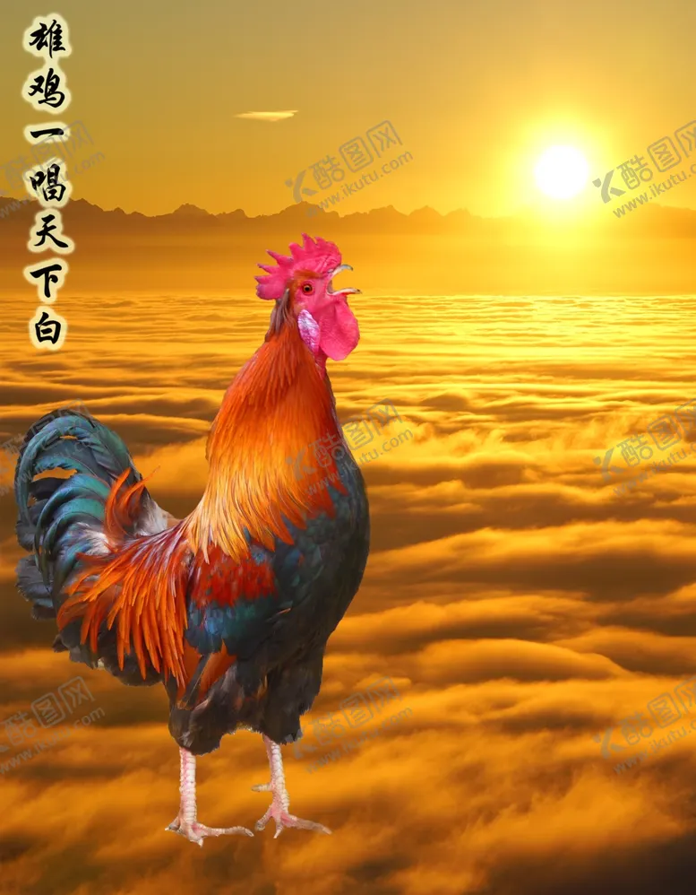 编号：98945504161349474043【酷图网】源文件下载-雄鸡一唱天下白