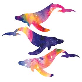 炫彩渐变鲸鱼图案