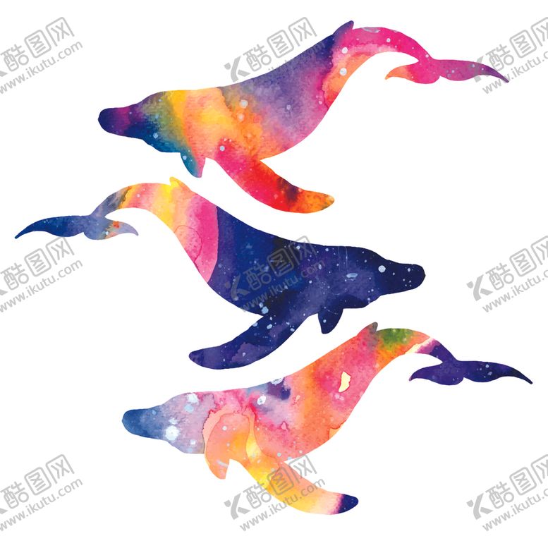 编号：59258710310834019112【酷图网】源文件下载-炫彩渐变鲸鱼图案