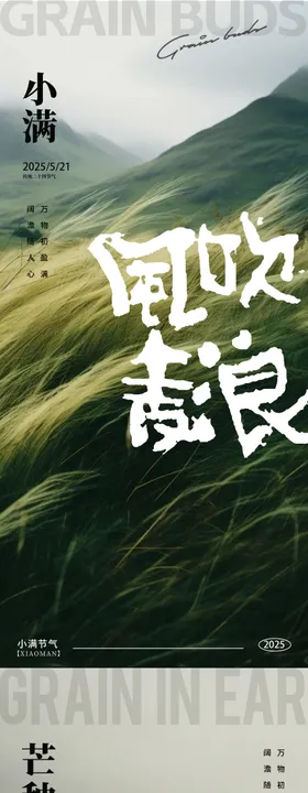 地产小满芒种节气海报