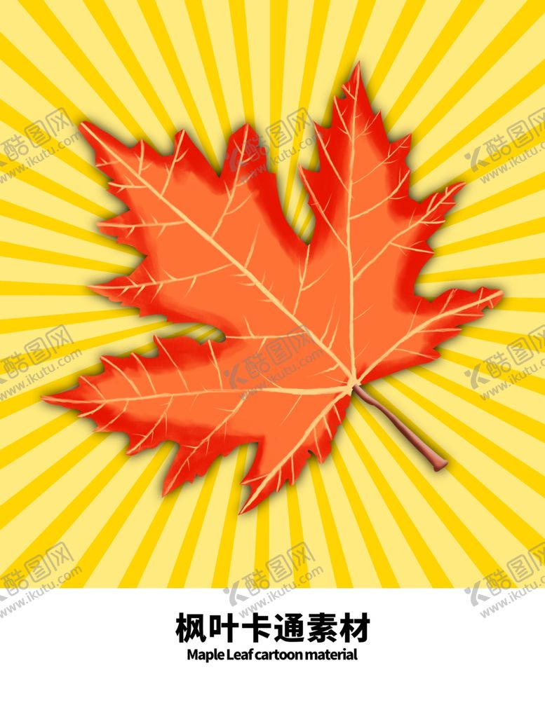 编号：24517605051604402024【酷图网】源文件下载-分层黄色放射分栏枫叶手绘素材