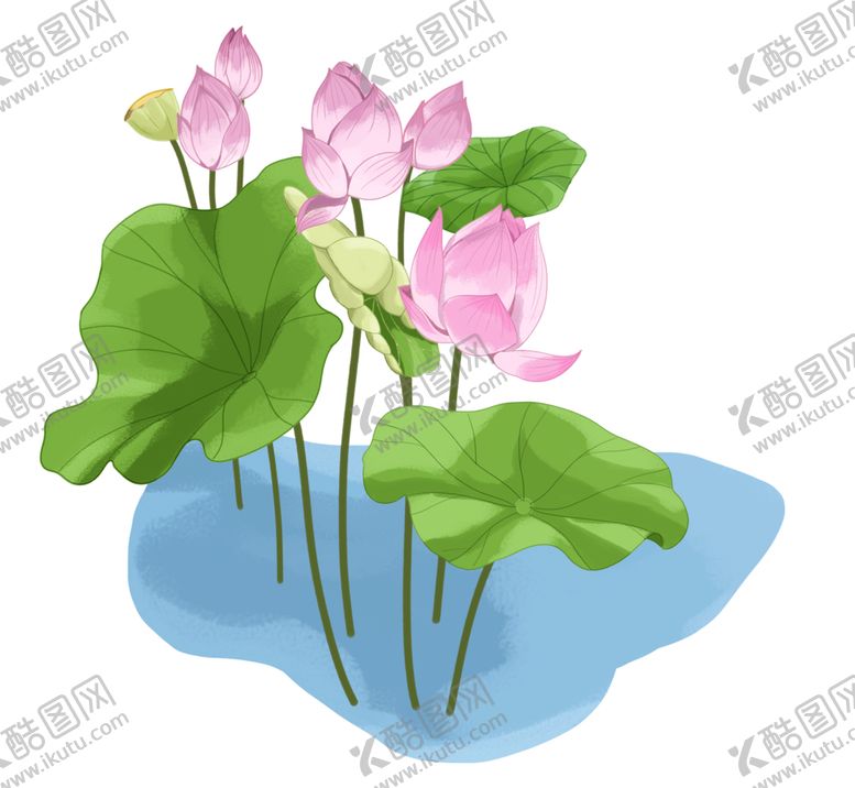编号：98323304171433449609【酷图网】源文件下载-荷花元素
