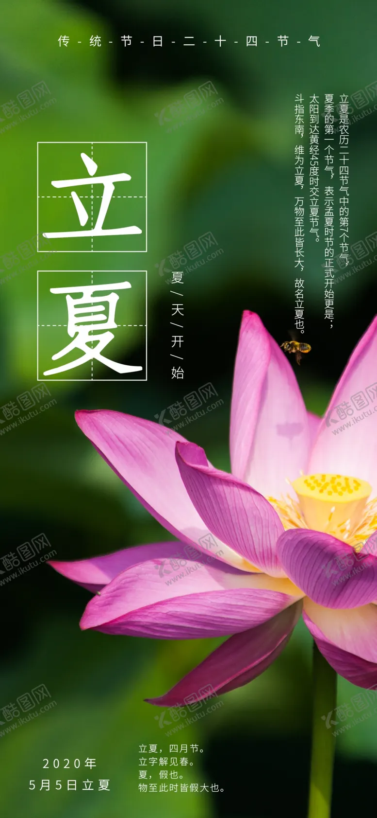 编号：77399606251802131587【酷图网】源文件下载-手机壁纸