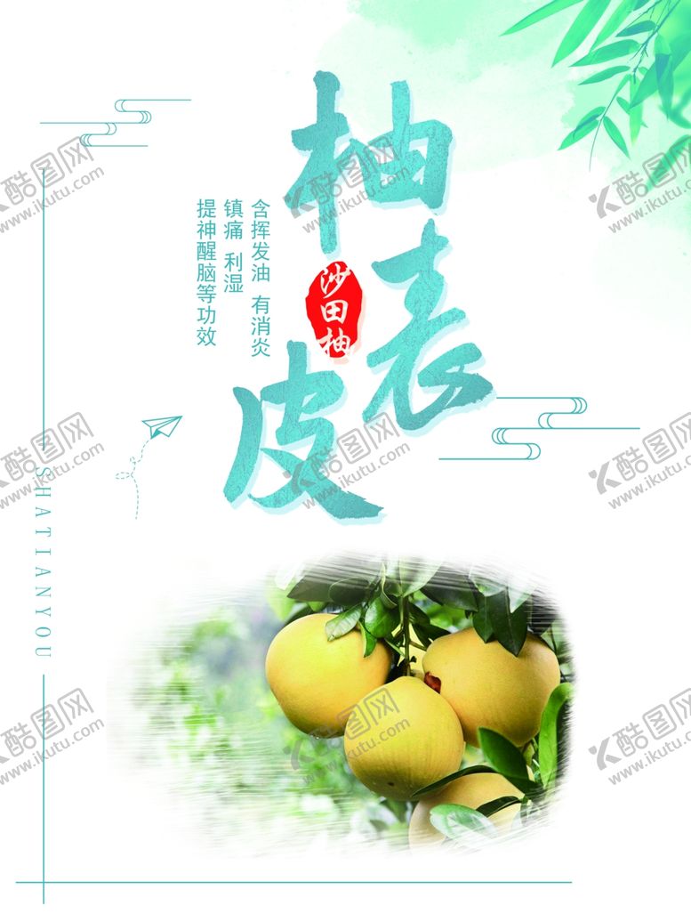 编号：34706210021928172828【酷图网】源文件下载-柚表皮沙田柚海报