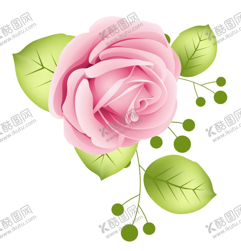 编号：64039607070743377403【酷图网】源文件下载-玫瑰花
