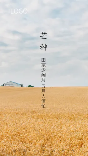 芒种节气海报海报