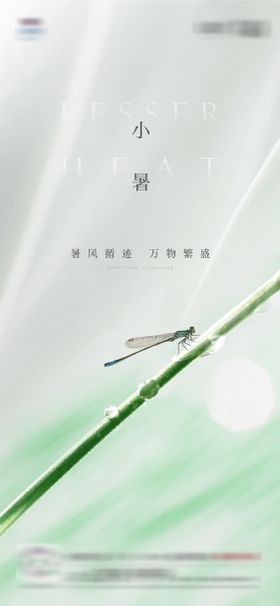 小暑蜻蜓节气海报