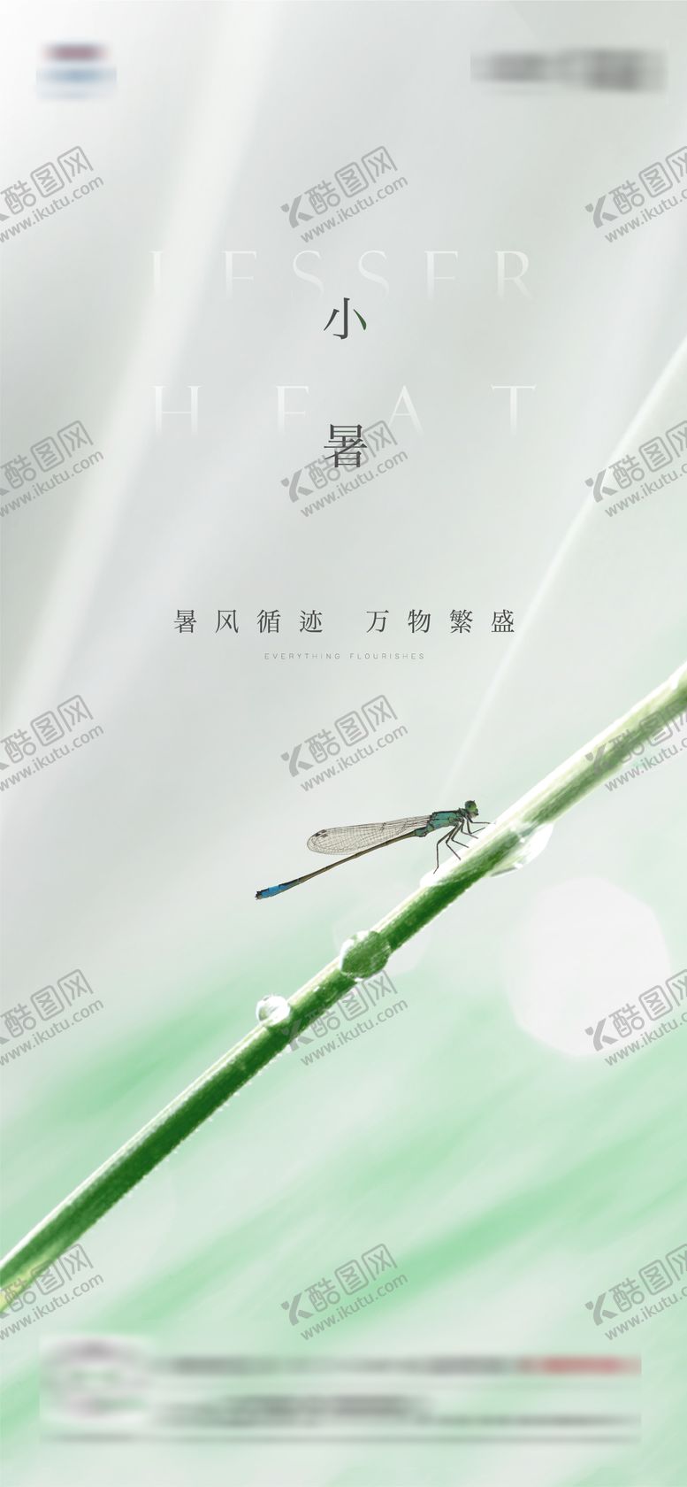 编号：15624907030957199326【酷图网】源文件下载-小暑蜻蜓节气海报