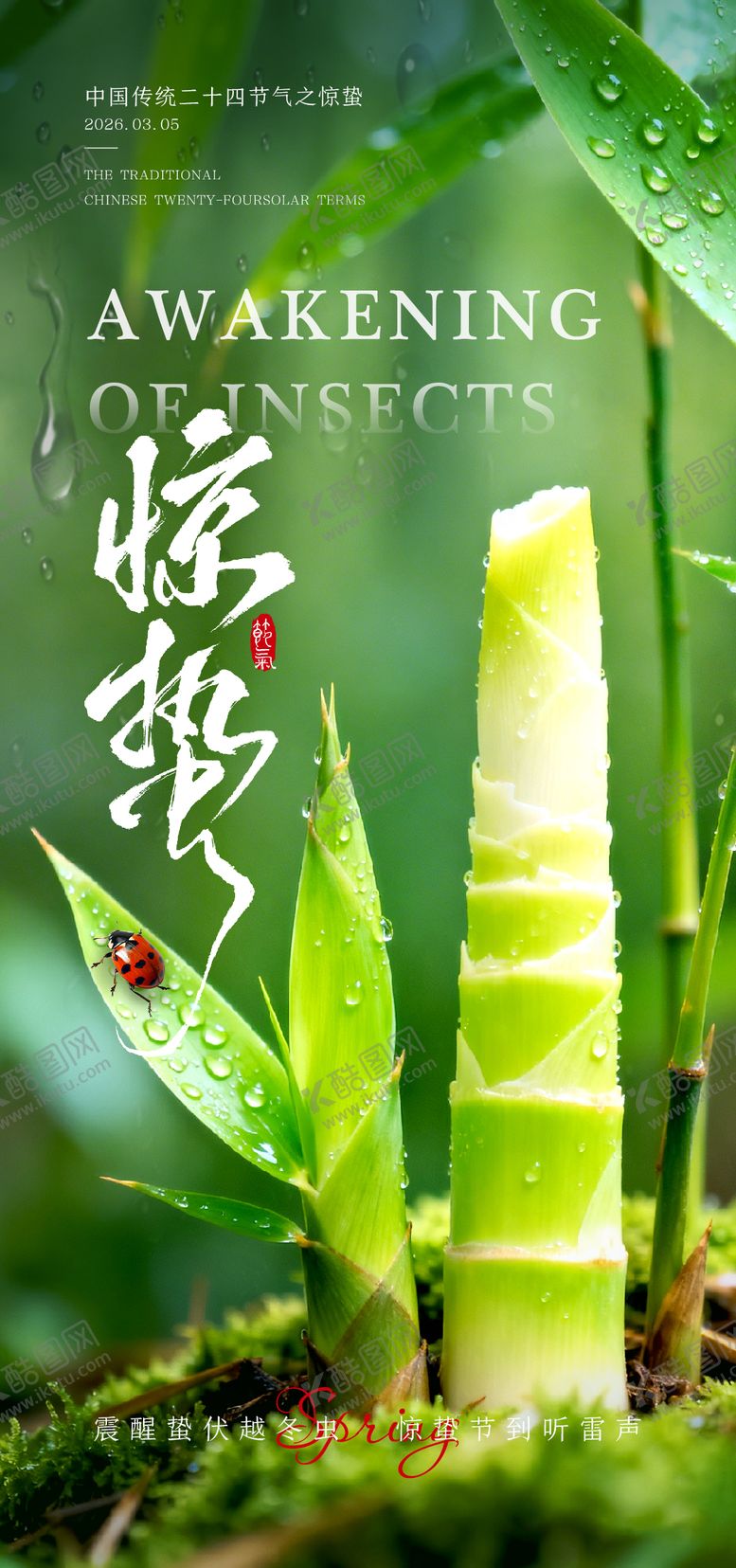 编号：49451003020214188593【酷图网】源文件下载-惊蛰海报