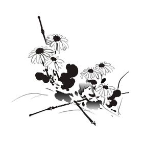 水墨菊花
