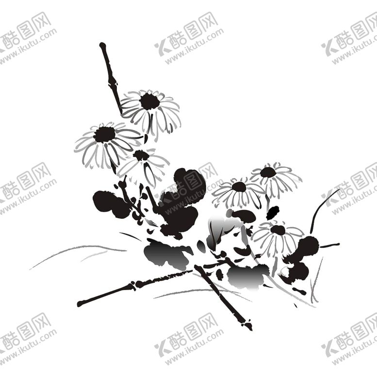 编号：32934605022018476843【酷图网】源文件下载-水墨菊花
