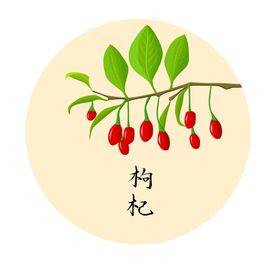 手绘枸杞