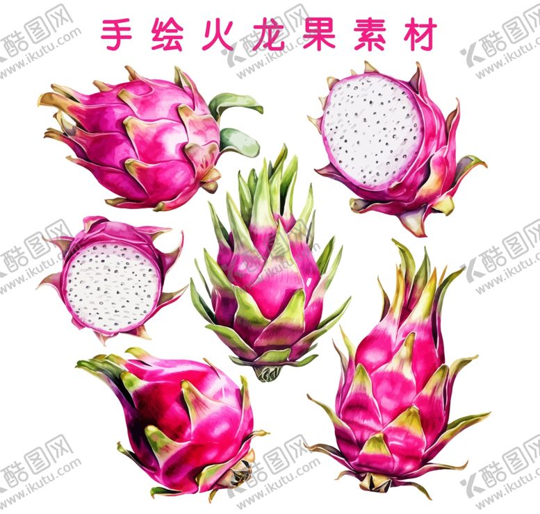 编号：31742002182039261863【酷图网】源文件下载-手绘火龙果
