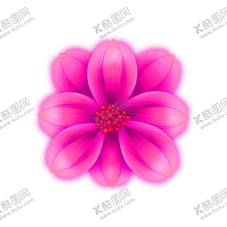 编号：53702405070200156133【酷图网】源文件下载-鲜花素材
