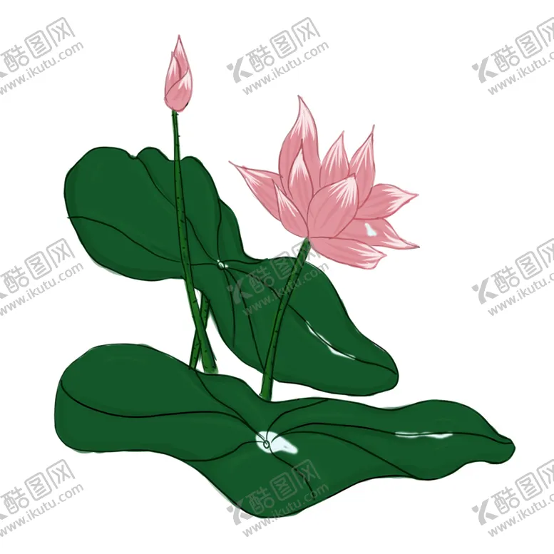 编号：41764606262242481700【酷图网】源文件下载-莲花
