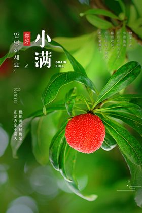 水果赏味季节