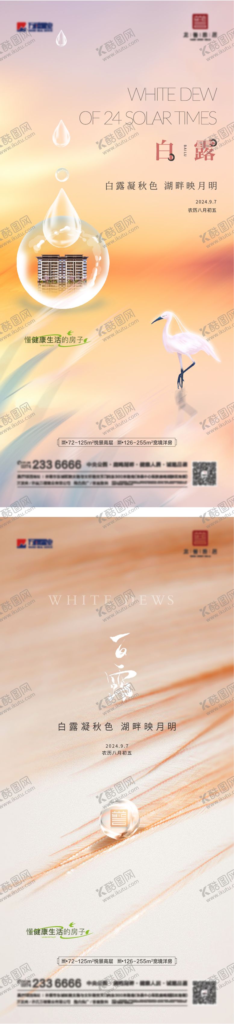 编号：73360107132319042282【酷图网】源文件下载-白露海报