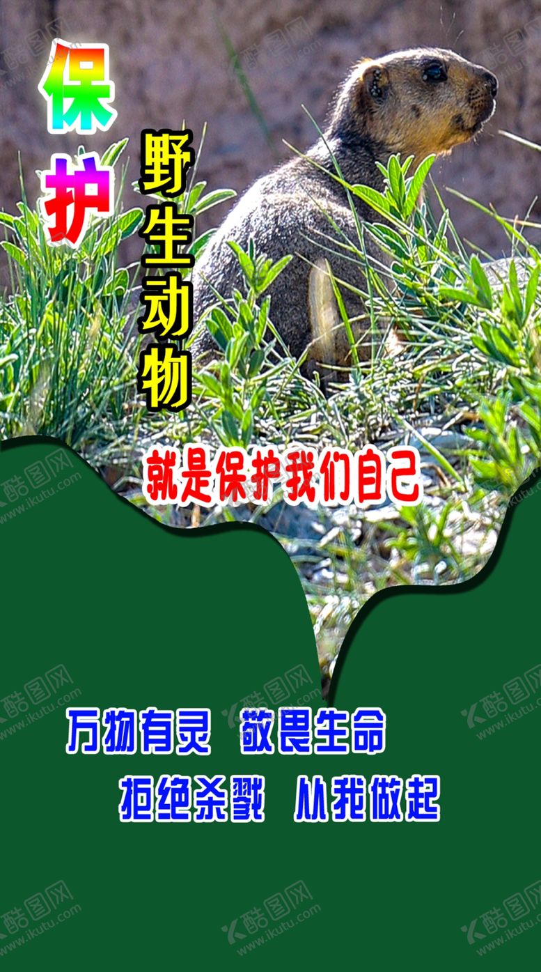编号：50830907070415163349【酷图网】源文件下载-野生动物宣传图片