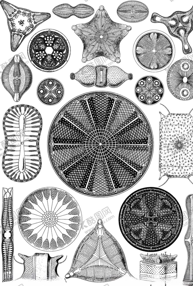 编号：67679609282025329382【酷图网】源文件下载-神秘图形