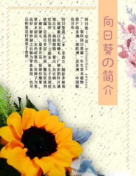 地产向日葵活动海报