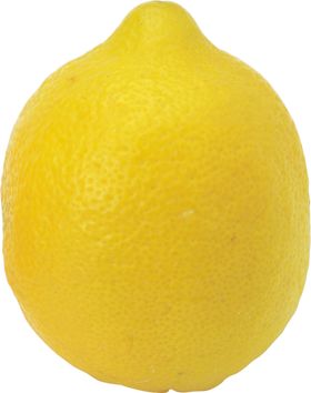 柠檬