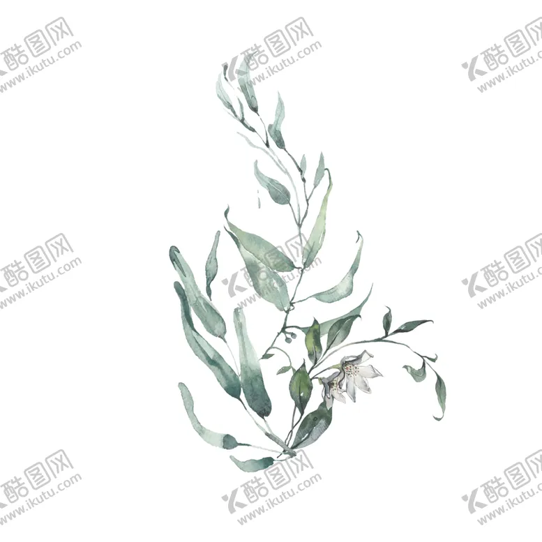编号：44724506270449173272【酷图网】源文件下载-小清新水彩植物树枝