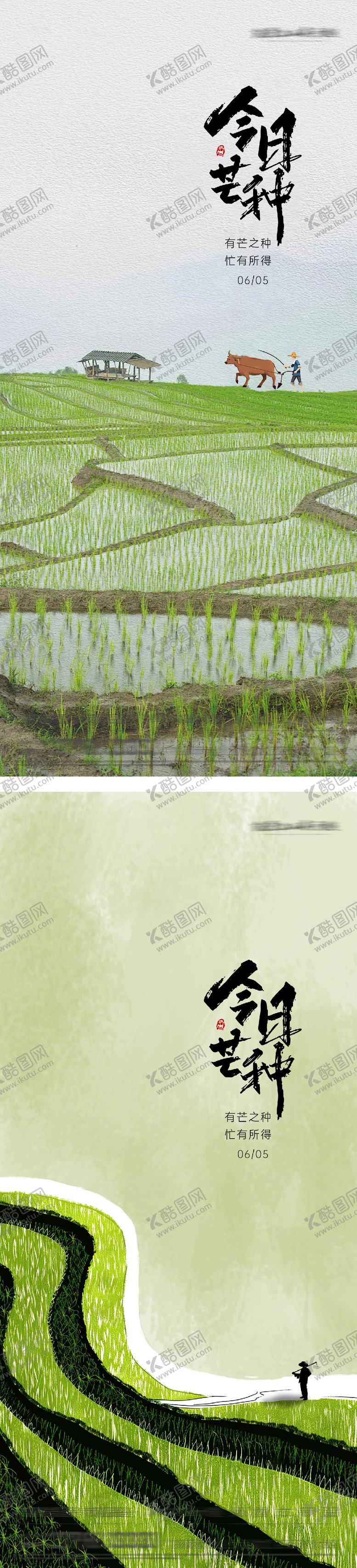 编号：41209306151648501994【酷图网】源文件下载-地产芒种节气海报