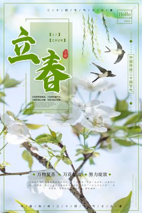 立春插画图片安逸小清新海报手绘风