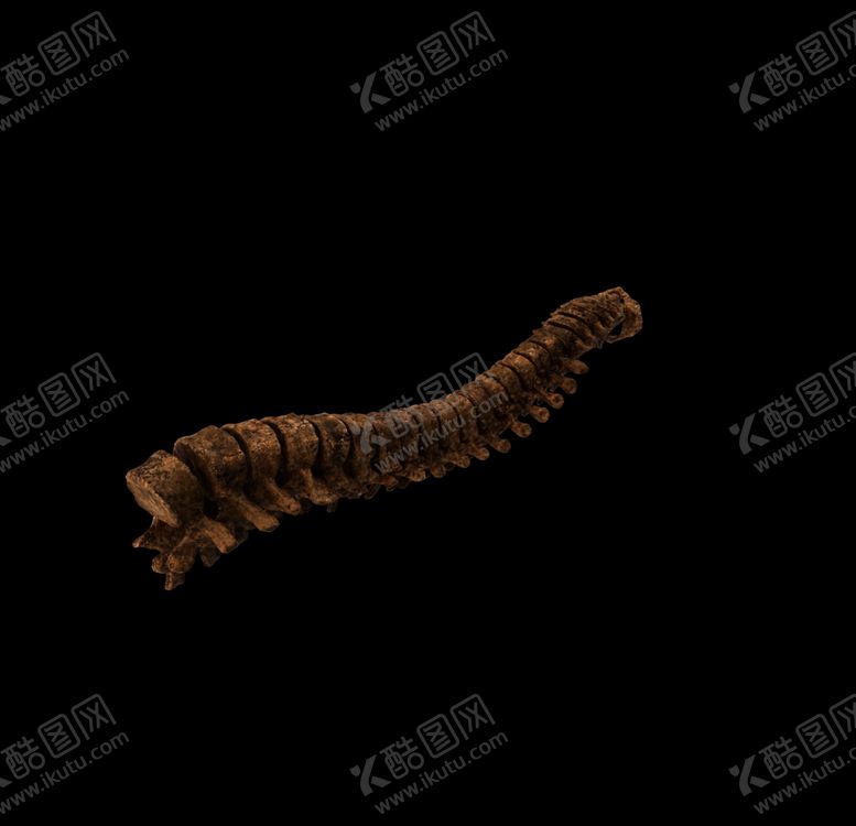 编号：13918110110625289391【酷图网】源文件下载-巫师素材