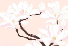 玉兰