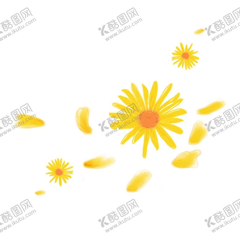 编号：77139609200718349842【酷图网】源文件下载-菊花素材