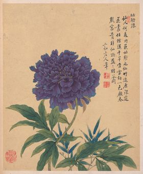 中国风花鸟卉工笔画