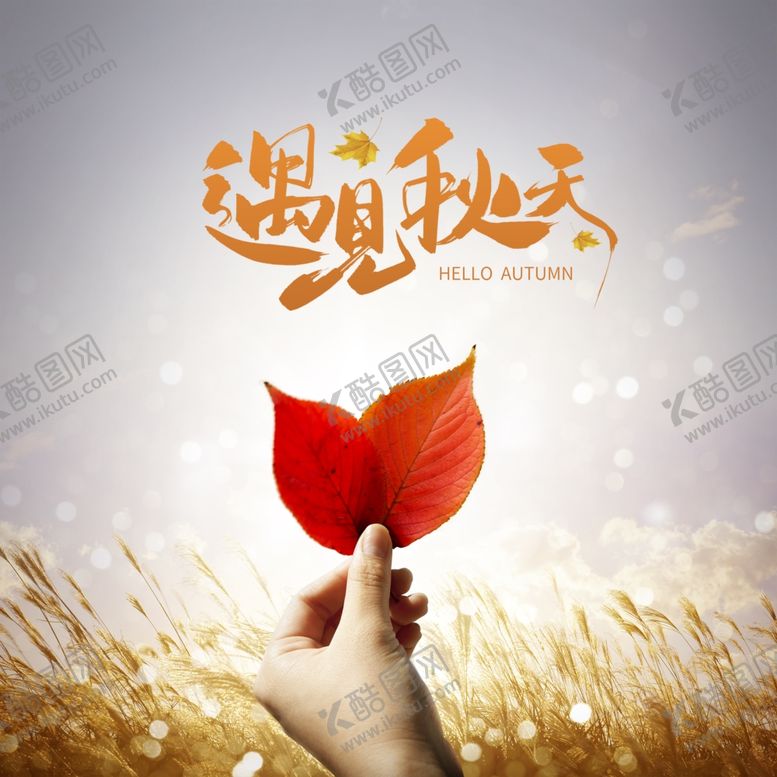 编号：55014212030757273674【酷图网】源文件下载-秋天海报