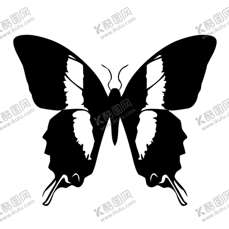编号：96429109202352422733【酷图网】源文件下载-蝴蝶素材