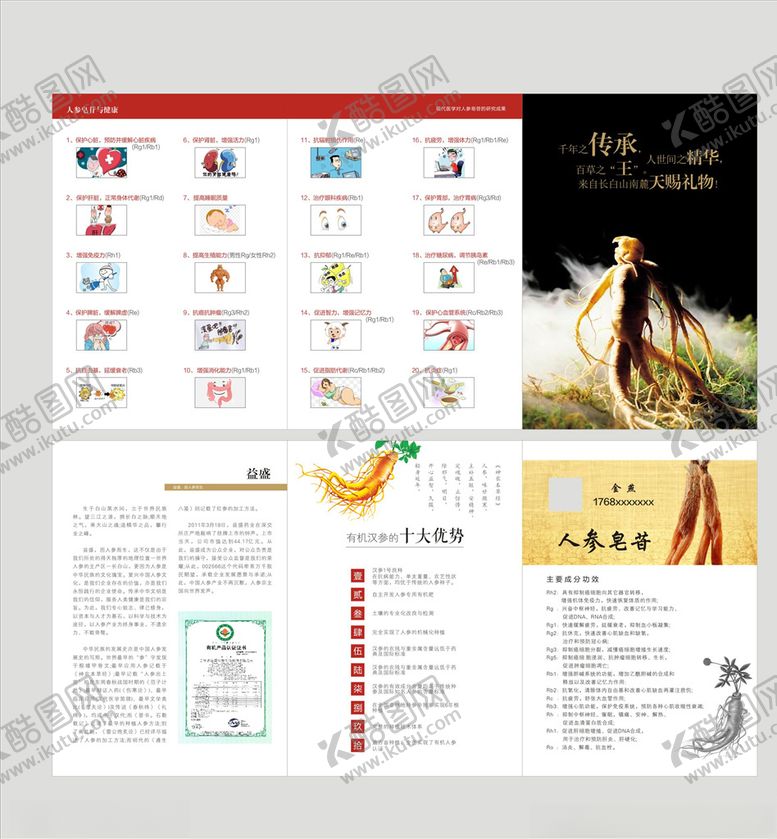 编号：31339510231053354697【酷图网】源文件下载-人参折页