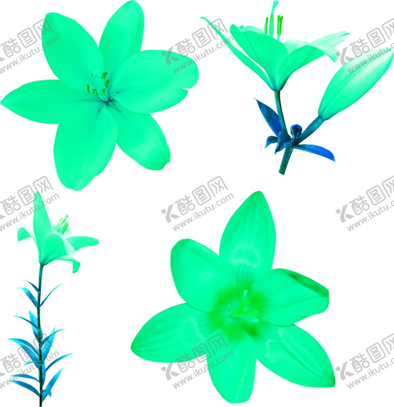 编号：44780310230136528346【酷图网】源文件下载-花素材