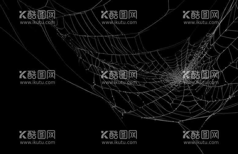 编号：31932811250420386752【酷图网】源文件下载-蜘蛛网