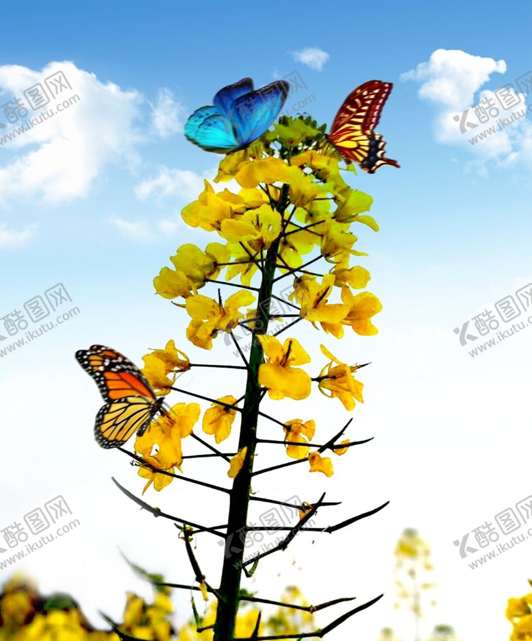 编号：35456107131944532108【酷图网】源文件下载-春暖花开