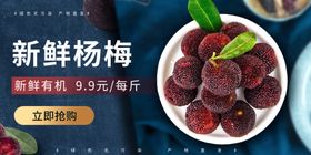 杨梅水果促销活动宣传海报素材