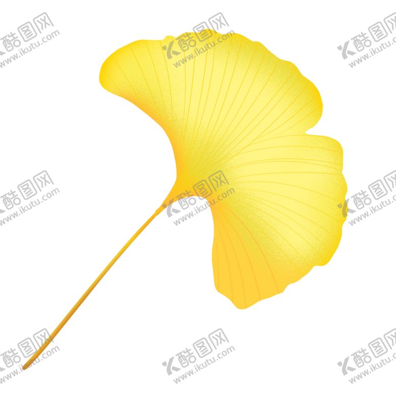编号：72162904302240485385【酷图网】源文件下载-秋天银杏叶