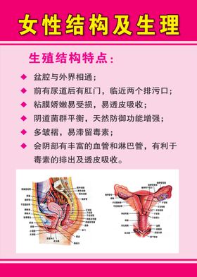 结构底图