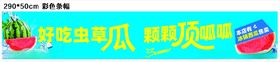 西瓜展板