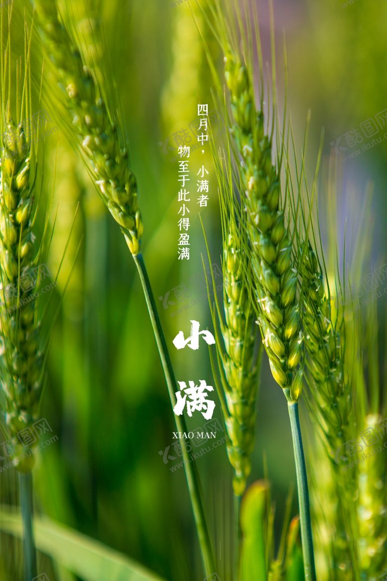 编号：75590106280852075528【酷图网】源文件下载-小满节气海报