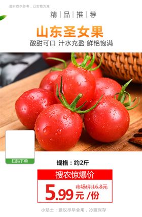 山东圣女果推广图