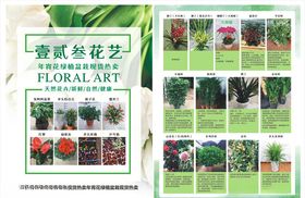 花卉花艺
