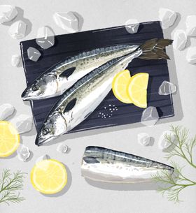 手绘海鲜插画