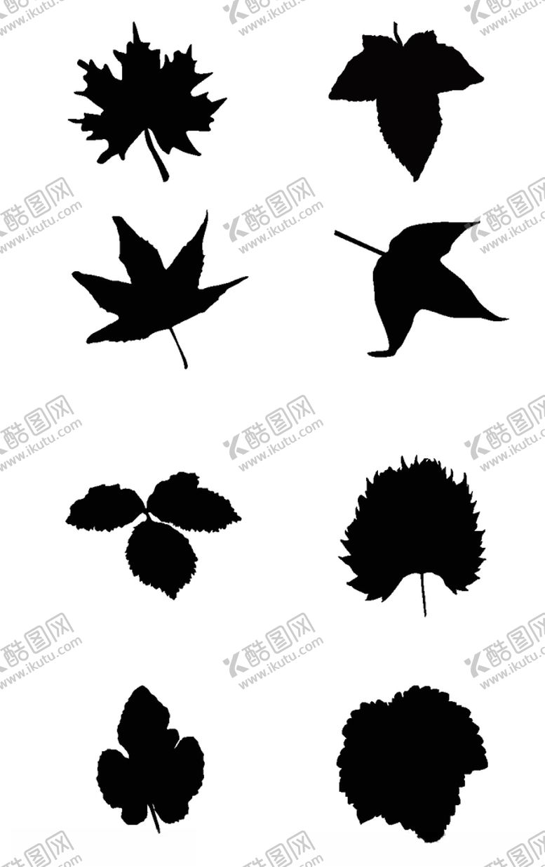 编号：12655806241007121877【酷图网】源文件下载-枫叶剪影