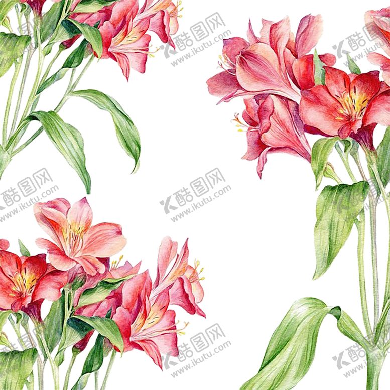 编号：26706610110340074099【酷图网】源文件下载-绿色背景